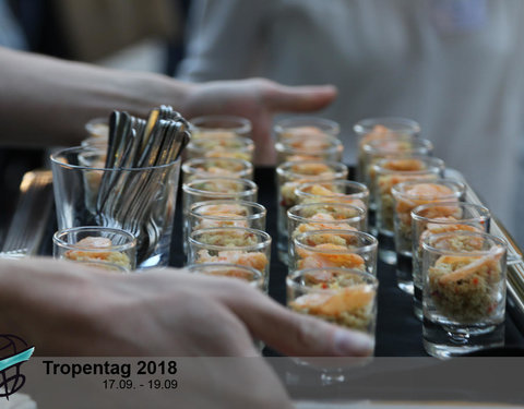 Conferentie 'Tropentag 2018, Global food security and food safety: The role of universities'