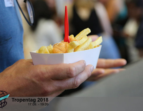 Conferentie 'Tropentag 2018, Global food security and food safety: The role of universities'