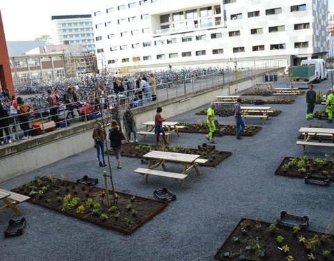 Plantactie op Campus Dunant