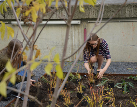 Plantactie op Campus Dunant