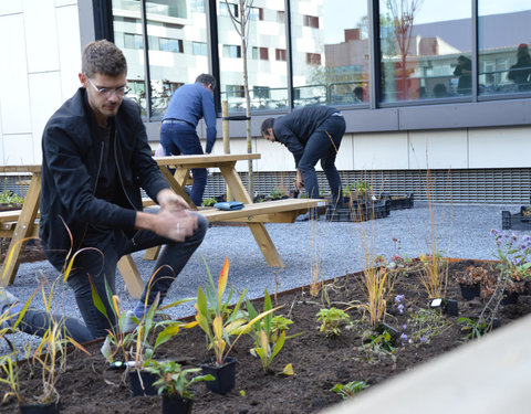 Plantactie op Campus Dunant