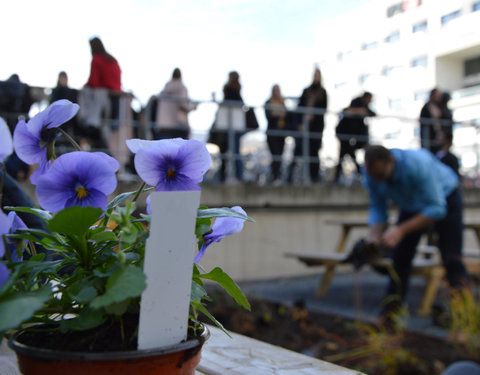 Plantactie op Campus Dunant