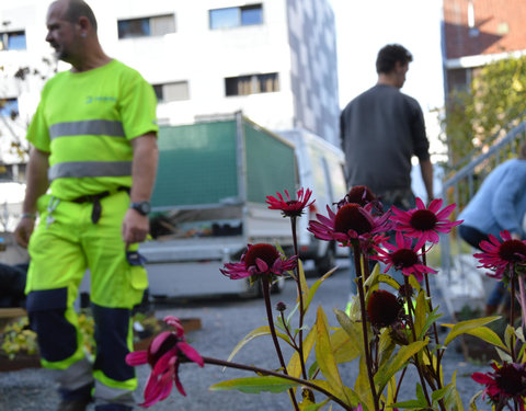 Plantactie op Campus Dunant