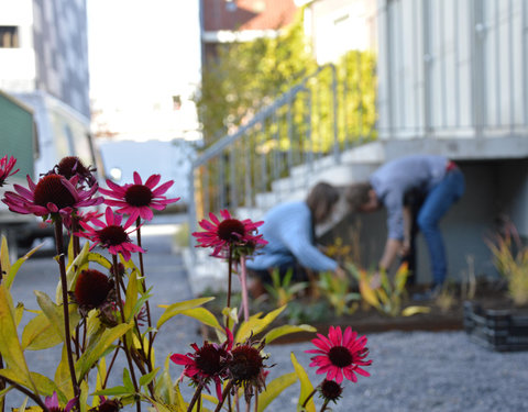 Plantactie op Campus Dunant