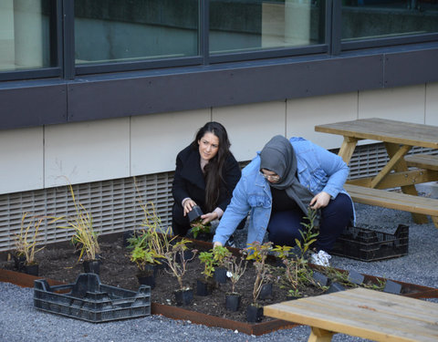 Plantactie op Campus Dunant