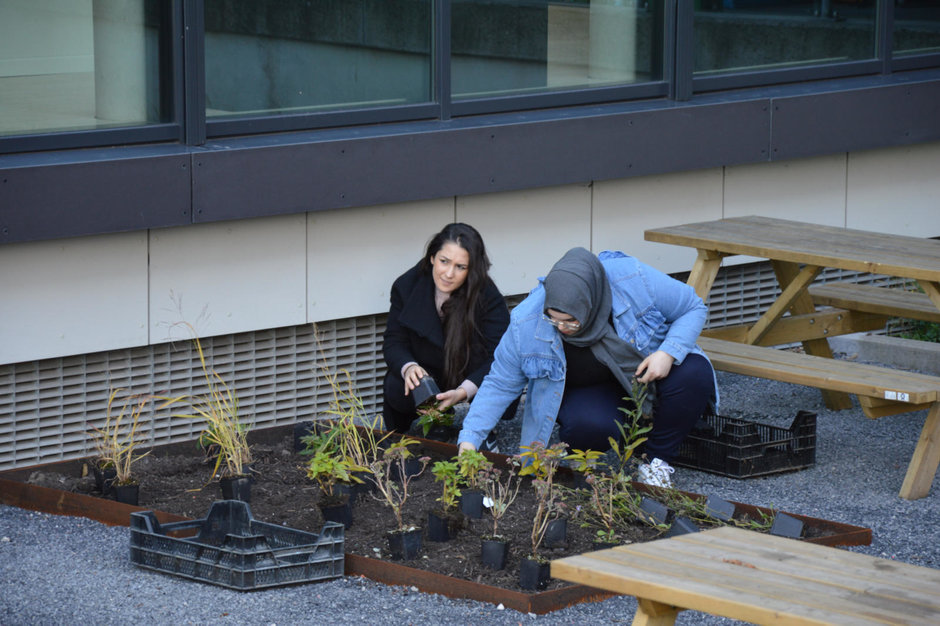 Transitie UGent