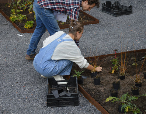 Plantactie op Campus Dunant