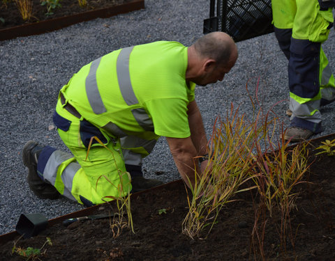 Plantactie op Campus Dunant