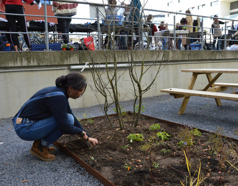 Plantactie op Campus Dunant