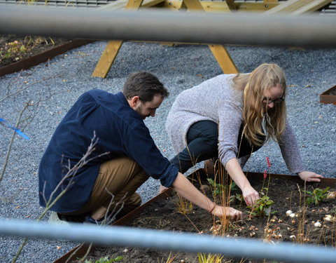 Plantactie op Campus Dunant