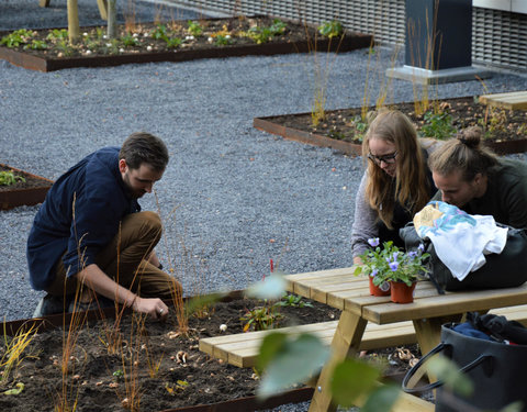 Plantactie op Campus Dunant