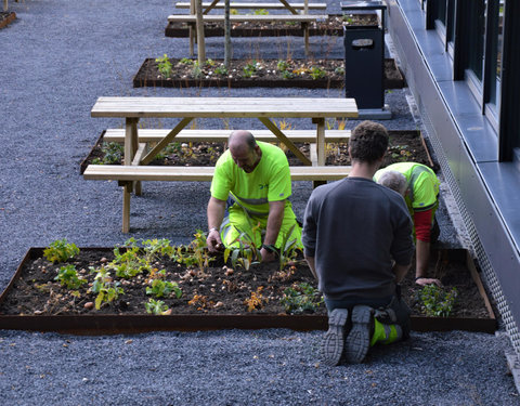 Plantactie op Campus Dunant