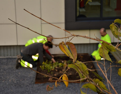 Plantactie op Campus Dunant