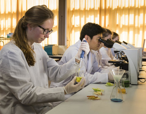 Sfeerbeelden Campus Kortrijk