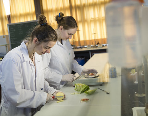 Sfeerbeelden Campus Kortrijk