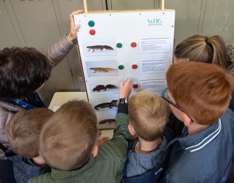 Opendeurdagen 2019 faculteit Diergeneeskunde