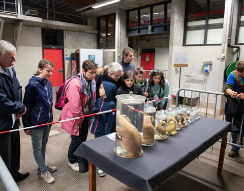 Opendeurdagen 2019 faculteit Diergeneeskunde