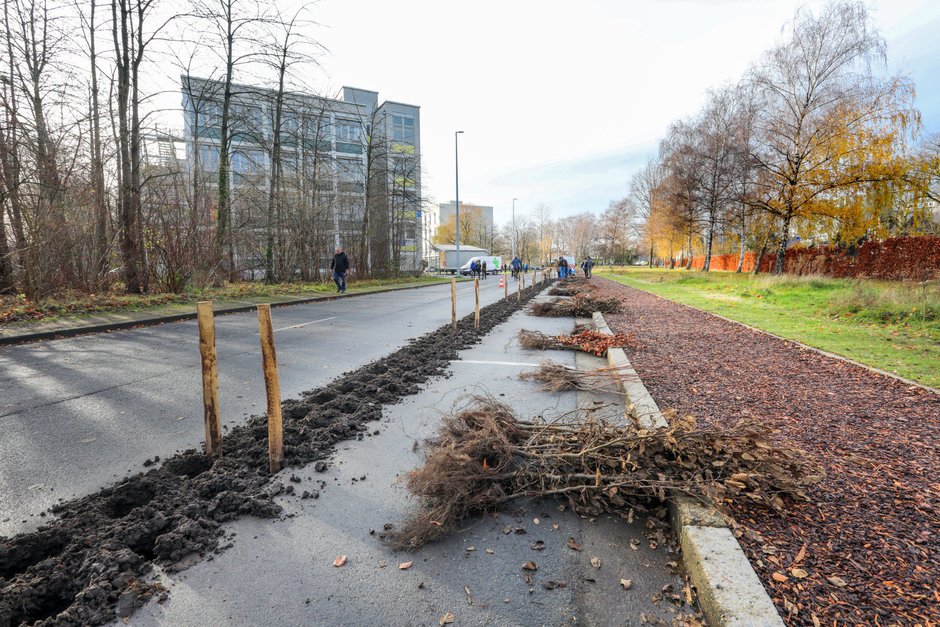 Transitie UGent