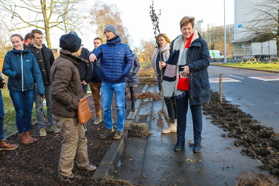 Transitie UGent