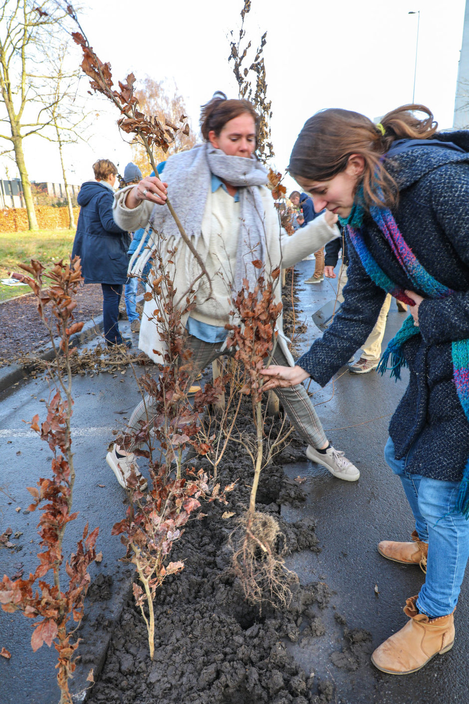 Transitie UGent