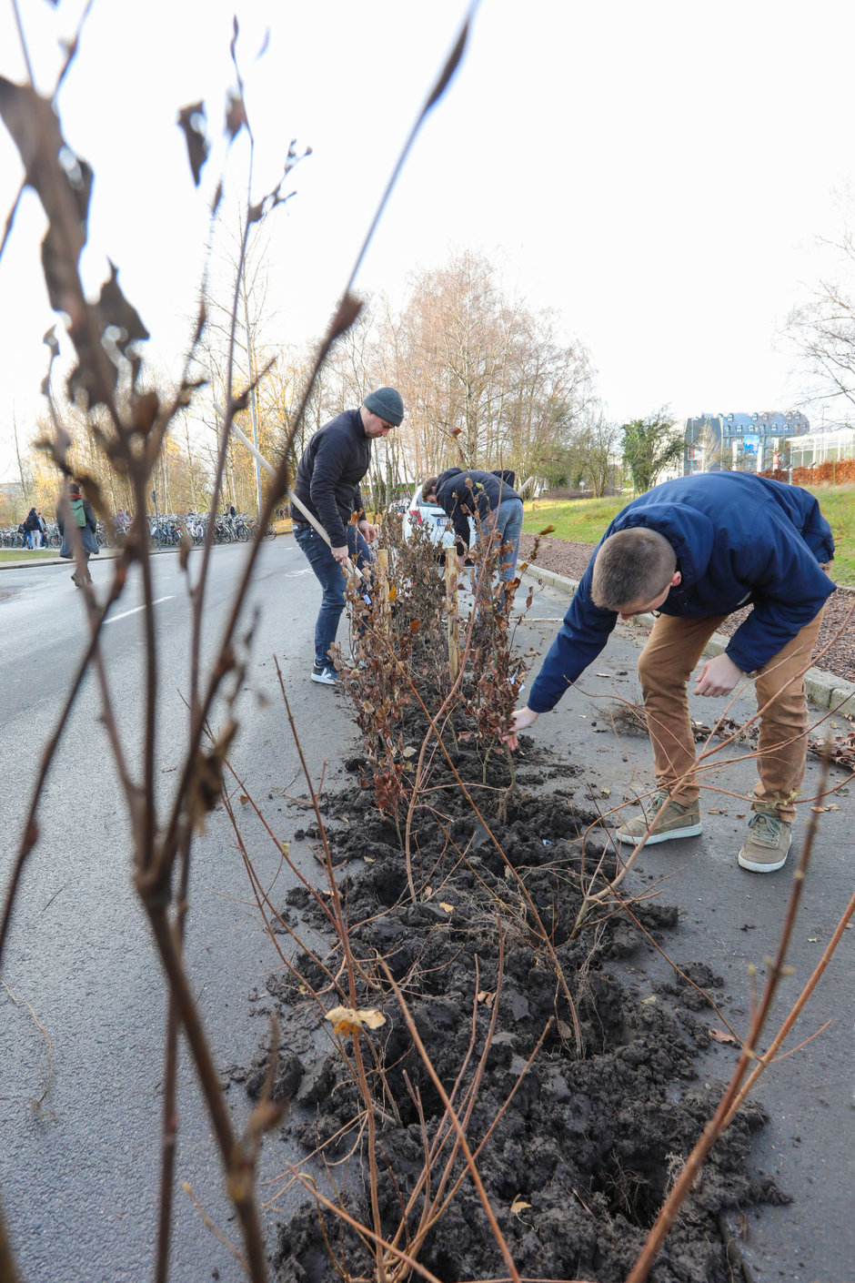 Transitie UGent