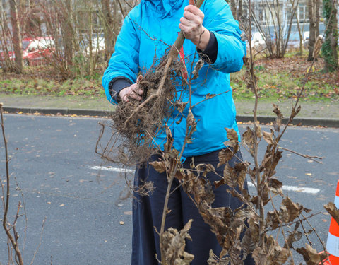 'Plant your Campus' op Campus Sterre