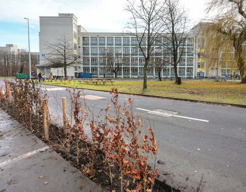 'Plant your Campus' op Campus Sterre