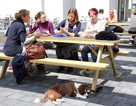 Sfeerbeelden resto Campus Merelbeke