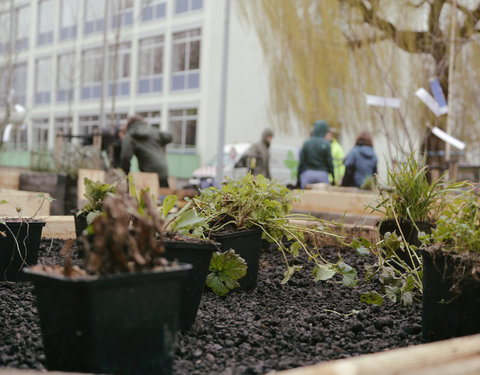 Opening Pimp your Campus-tuin en inhuldiging van looppad op Campus Sterre