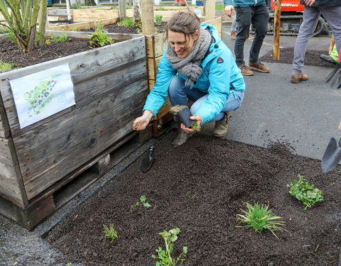 Opening Pimp your Campus-tuin en inhuldiging van looppad op Campus Sterre