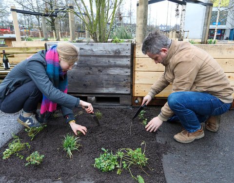 Opening Pimp your Campus-tuin en inhuldiging van looppad op Campus Sterre