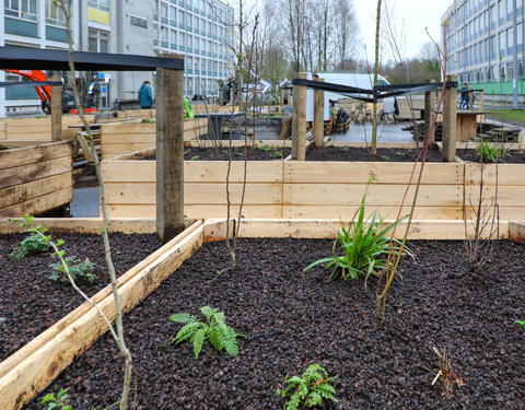 Opening Pimp your Campus-tuin en inhuldiging van looppad op Campus Sterre