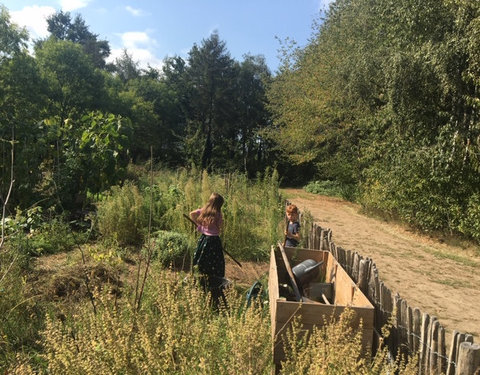 Wandelingen langs het Living Lab Campus Sterre en het Living Lab HOGENT