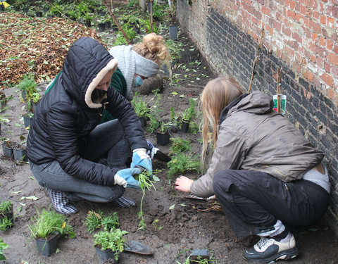 Plantactie op Campus Coupure