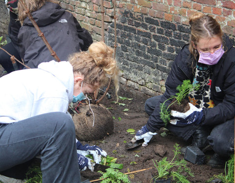 Plantactie op Campus Coupure