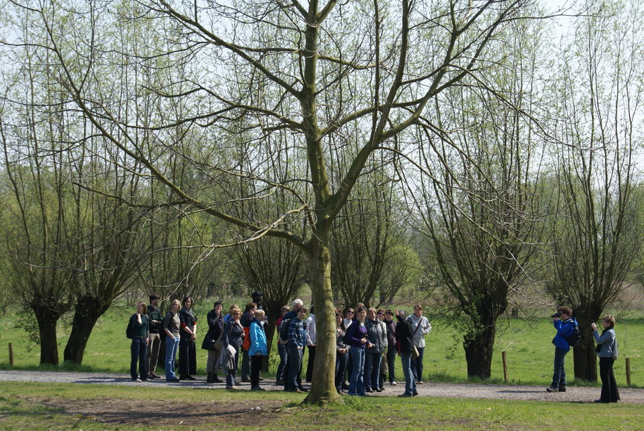 Transitie UGent