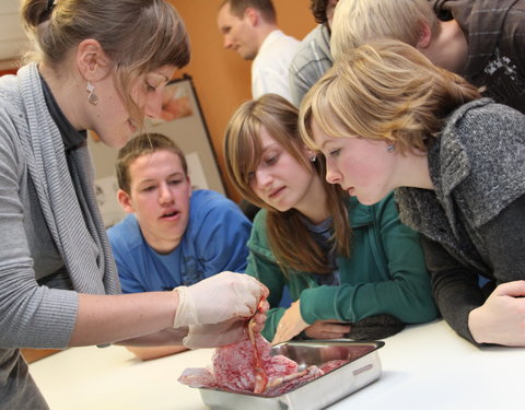 Wetenschapsweek 2010 aan UGent: wetenschap in de kijker-18600