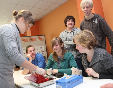 Wetenschapsweek 2010 aan UGent: wetenschap in de kijker-18601