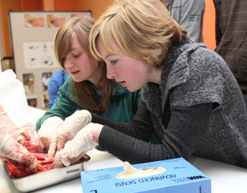 Wetenschapsweek 2010 aan UGent: wetenschap in de kijker-18602