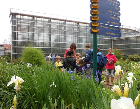 De UGent Plantentuin neemt deel aan de eerste Fascination of Plants Day-20806