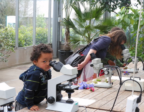 De UGent Plantentuin neemt deel aan de eerste Fascination of Plants Day-20821