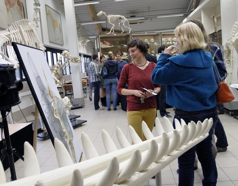 Inhuldiging spectaculaire nieuwe preparaten in het Museum Morfologie (faculteit Diergeneeskunde): een onderkaak, flipper en enke