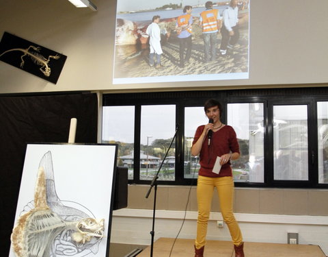 Inhuldiging spectaculaire nieuwe preparaten in het Museum Morfologie (faculteit Diergeneeskunde): een onderkaak, flipper en enke