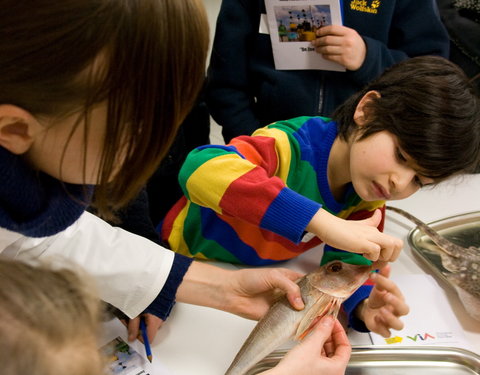 Kinderuniversiteit 'De zee', naar aanleiding van de tentoonstelling 'Marine Art'-24114