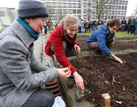 Opening moestuin van StuJardin in faculteit Bio-ingenieurswetenschappen-25118