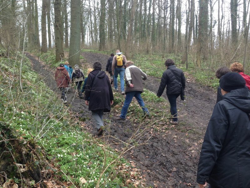 Transitie UGent