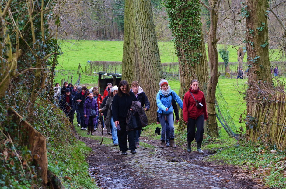 Transitie UGent