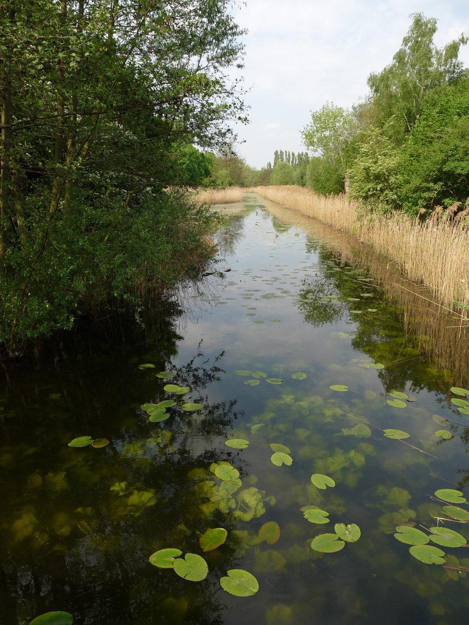 Transitie UGent