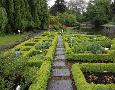 Uitreiking institutioneel eredoctoraat in Plantentuin-28144