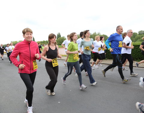 Watersportbaanloop voor Vlaamse bedrijven 2013-28205